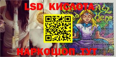 гидропоника Будённовск
