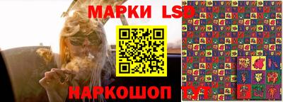 гидропоника Будённовск