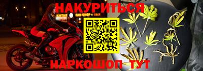 гидропоника Будённовск