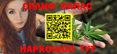 гидропоника Будённовск