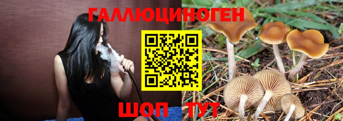 Похвистнево  Псилоцибиновые грибы Psilocybe  Вход с VPN  Галлюциногенные грибы MAGIC MUSHROOMS 
